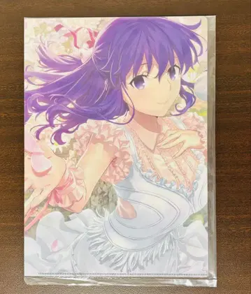 Fate/stay 20주년 기념 콘서트 클리어 파일