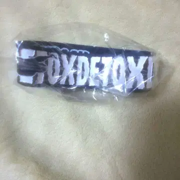 원오크록 ONE OK ROCK 러버 밴드 원오크 2025