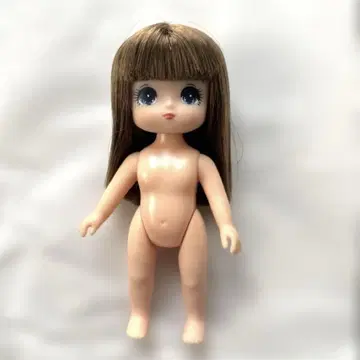 푸치 제니 나이팅게일 엑셀리나