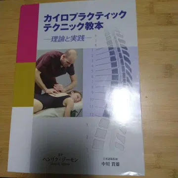 카이로프랙틱 테크닉 교본 이론과 실천