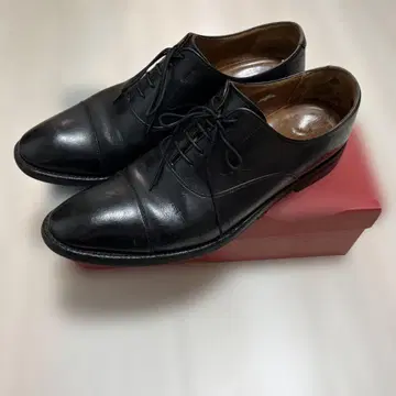 REGAL 스트레이트 팁 25.5 01R R25