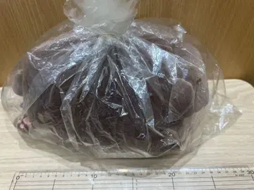 브라운 곰 봉제 인형
