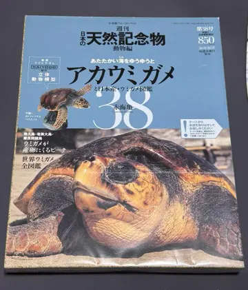 주간 일본의 천연기념물 아카바다거북