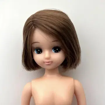 리카짱 인형 본체 브라운 밥 헤어