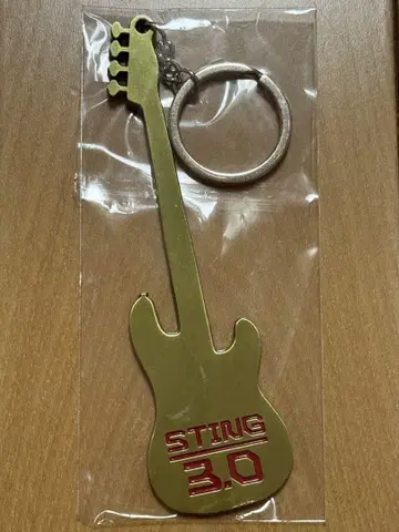 STING 스팅 3.0 JAPAN TOUR 키체인