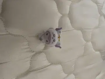 치이카와 산리오 콜라보