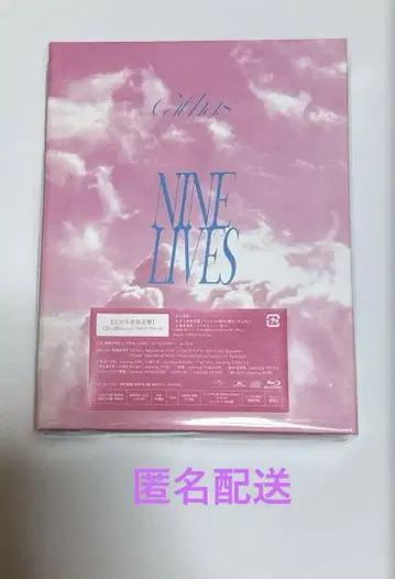 초특급 NINE LIVES 완전 생산 한정판
