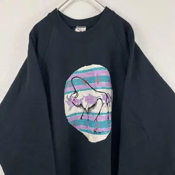USA제 90s fruit of the loom 네이티브 무늬 맨투맨