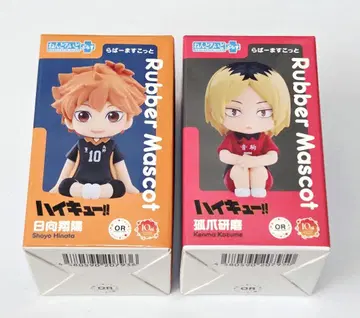 하이큐 넨도로이드 플러스 히나타 연마