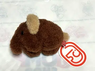 토이푸들 도무 도무조군과 친구들