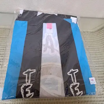 AKB48 팀 최애 하피