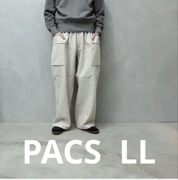PACS DOUBLE POCKET CARGO PANTS paletown