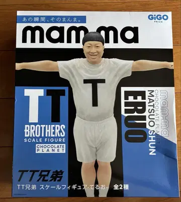 TT 형제 스케일 피규어 테루오 GIGO