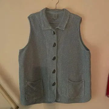 vintage blue vest.