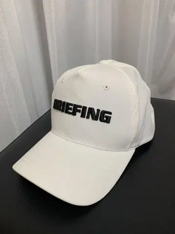 BRIEFING 화이트 캡