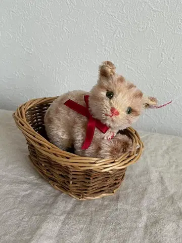 Steiff 바스켓에 들어간 아기 고양이 지니 고양이