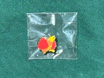 스카이락 히바리 핀 배지