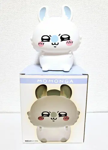 치이카와 모몽가 라이트