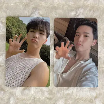 소셜 클럽 호시