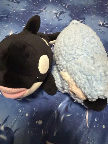 돌고래 봉제 인형 2개