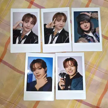 &TEAM 파우프리 위주 폴라로이드 세트