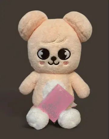 straykids 승민 퍼핌 봉제 인형 테디베어