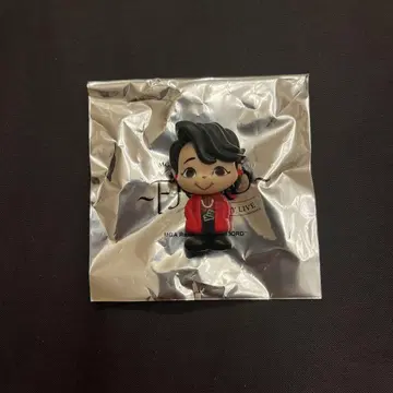 Mrs. GREEN APPLE FJORD 랜덤 아이템 H 피규어