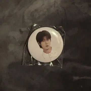BTS JIN RUN SEOK JIN 일본 공연 굿즈 캔뱃지