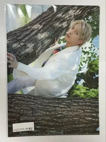 키하라 루이 클리어 파일 2