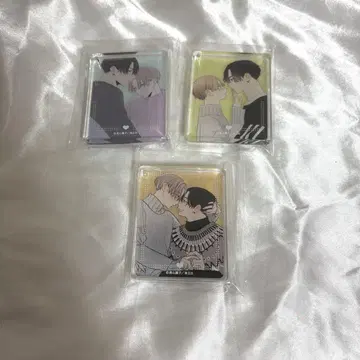 퍼펙트 어딕션 그라테 코로타