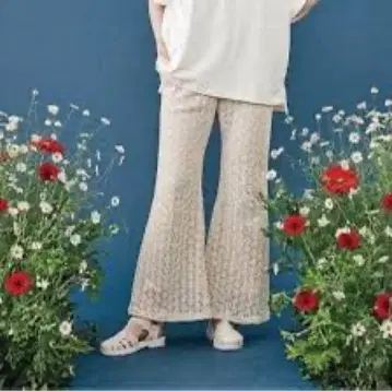 poppy 마가렛 레이스 플레어 팬츠 L 아사기니뇨