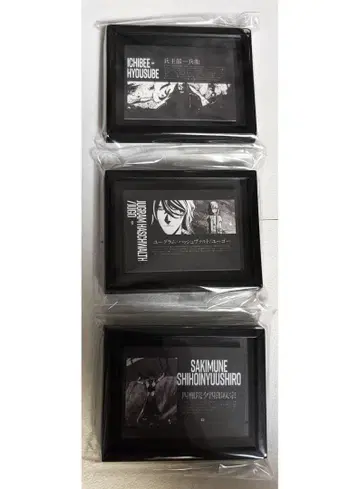 BLEACH 액자 컬렉션 vol.3-B 마그넷 하쉬발트