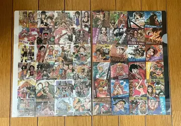 원피스 드레스 로자 클리어 파일 2종 세트 ONE PIECE