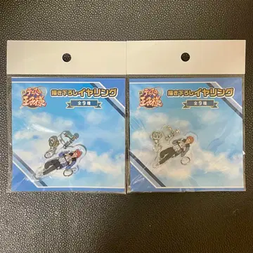 테니스의 왕자님 스카이 다이빙 귀찌 아쿠타가와 지로 세트