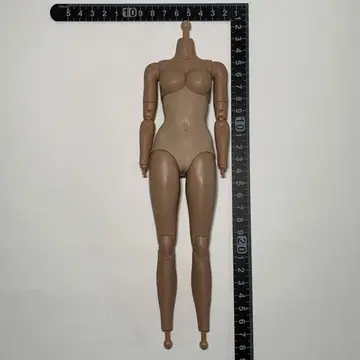 Hot Toys 1/6 소체 바디