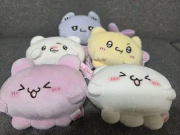 러브이즈 5세트 새상품 미사용 택 포함