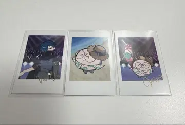 CR 페스티벌 폴라로이드풍 카드 Vanilla 재스퍼