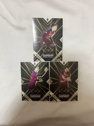 도쿄 그레이트 베어즈 스티커