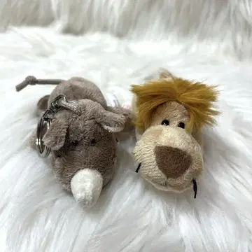 NICI 니키 사이 라이온 2세트