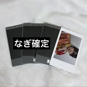 팬더드래곤 하피카 나기