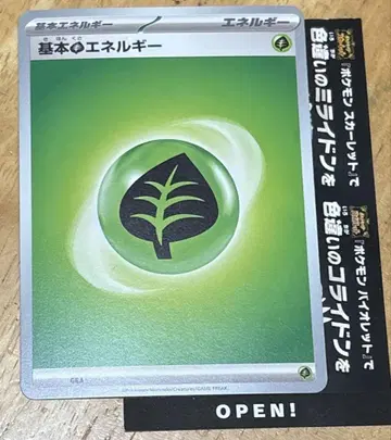 포켓몬 SV 색이 다른 미라이돈 콜라이돈