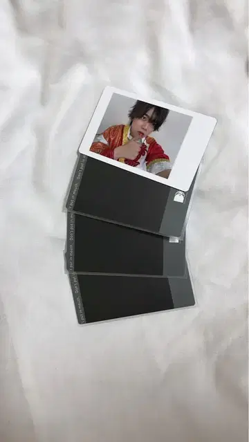 팬더드래곤 하피카 나기