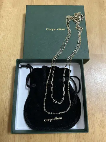 Carpe diem 골드 목걸이