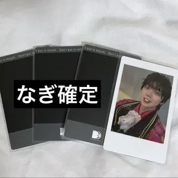 나기 하피카 팬더 드래곤