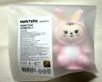 SEVENTEEN 미니틴 정한 라무