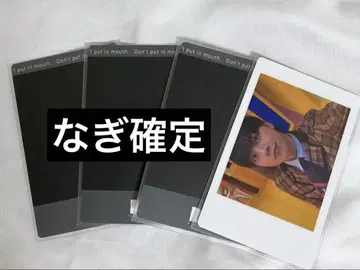 팬더 드래곤 하피카 나기