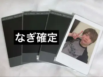 팬더드래곤 하피카 나기