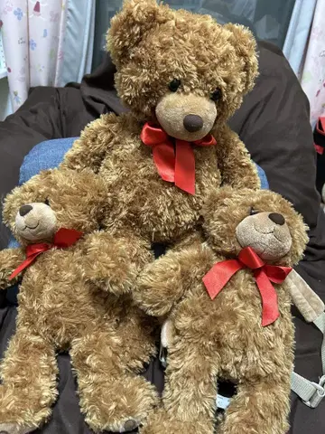 테디베어 로얄티 재팬 3체 곰 봉제 인형 Teddy Bear