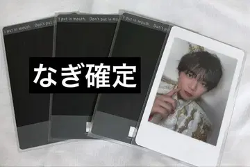 팬더드래곤 하피카 나기