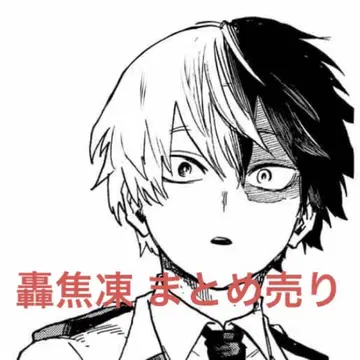 나의 히어로 아카데미아 토도로키 쇼토 묶음 판매